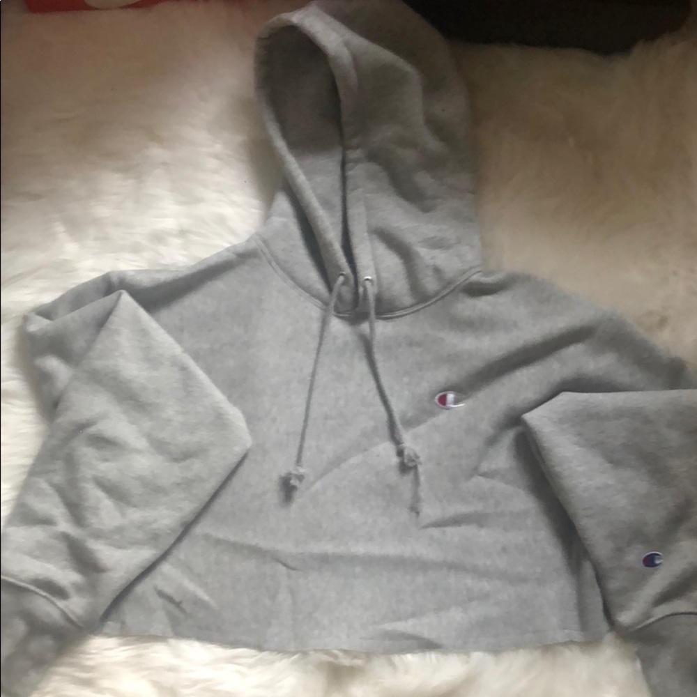 Champion sweater